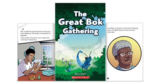 The Great Bok Gathering