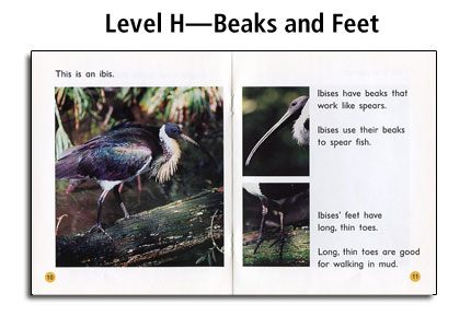 Alpha Kids Guided Reading - Level H