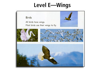 AlphaWorld Guided Reading - Level E