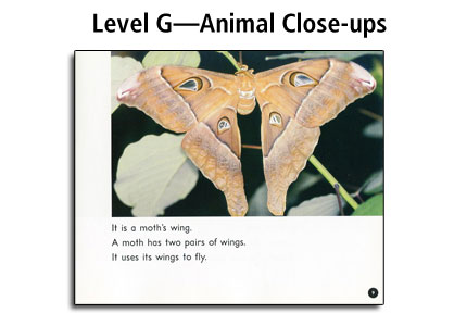 AlphaWorld Guided Reading - Level G