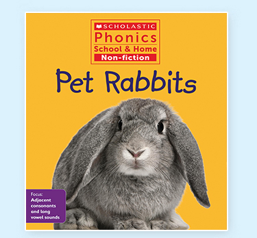 Pet Rabbits