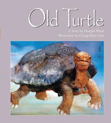 Photo of Old Turtle