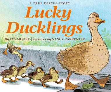 Photo of Lucky Ducklings