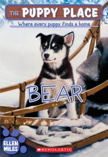 Photo of Bear (The Puppy Place #14)