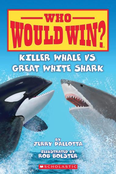 Photo of Who Would Win? Killer Whale vs. Great White Shark