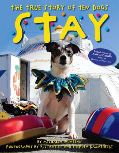 Photo of Stay: The True Story of Ten Dogs