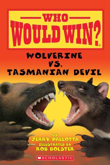 Photo of Wolverine vs. Tasmanian Devil (Who Would Win?)