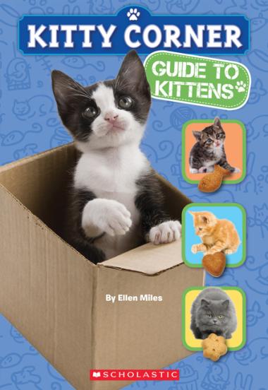 Photo of Kitty Corner: Guide To Kittens