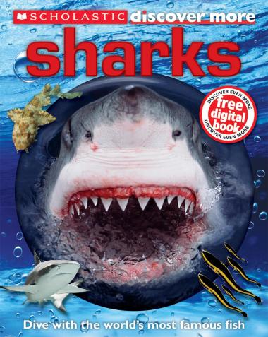 Photo of Scholastic Discover More: Sharks (Confident Reader)