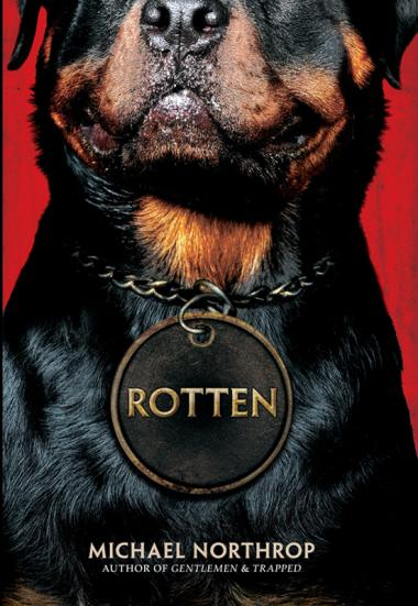 Photo of Rotten
