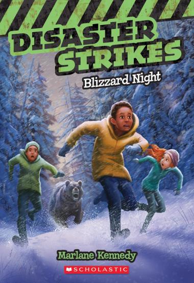 Photo of Blizzard Night (Disaster Strikes #3)