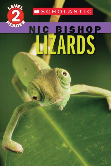 Photo of Lizards (Nic Bishop: Scholastic Reader, Level 2)