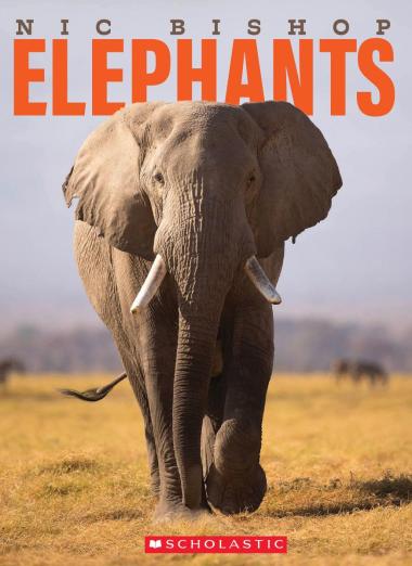 Photo of Nic Bishop Elephants