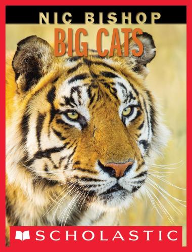 Photo of Nic Bishop Big Cats