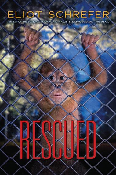 Photo of Rescued