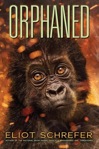 Photo of Orphaned (Ape Quartet #4)