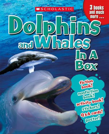 Photo of Dolphins & Whales in a Box