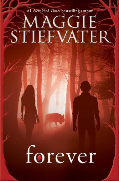 Photo of Forever (Shiver, Book 3)