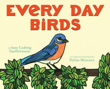 Photo of Every Day Birds