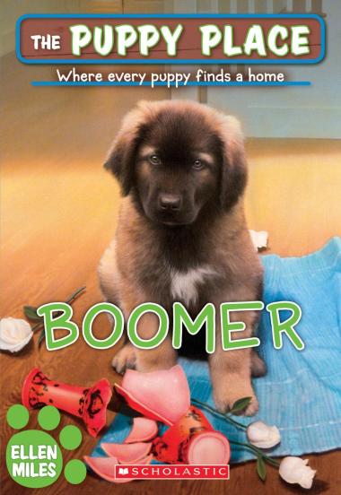 Photo of Boomer (The Puppy Place #37)