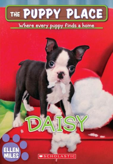 Photo of Daisy (The Puppy Place #38)