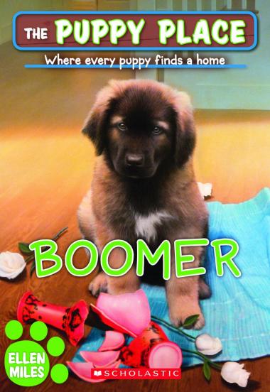 Photo of Boomer (The Puppy Place #37)