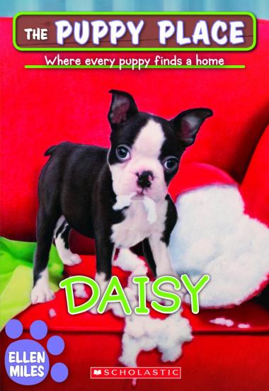 Photo of Daisy (The Puppy Place #38)