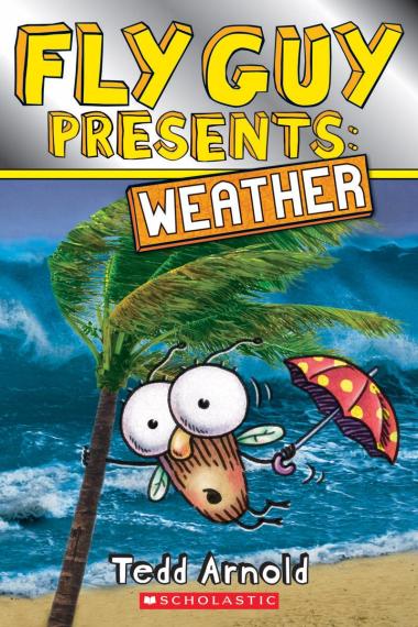 Photo of Fly Guy Presents: Weather (Scholastic Reader, Level 2)