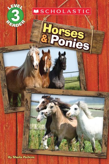 Photo of Horses and Ponies (Scholastic Reader, Level 3)