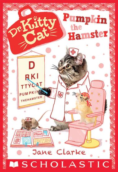 Photo of Pumpkin the Hamster (Dr. KittyCat #6)