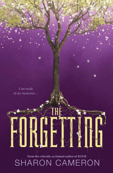 Photo of The Forgetting