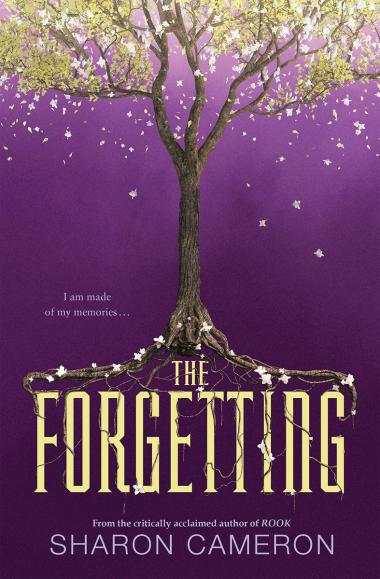 Photo of The Forgetting