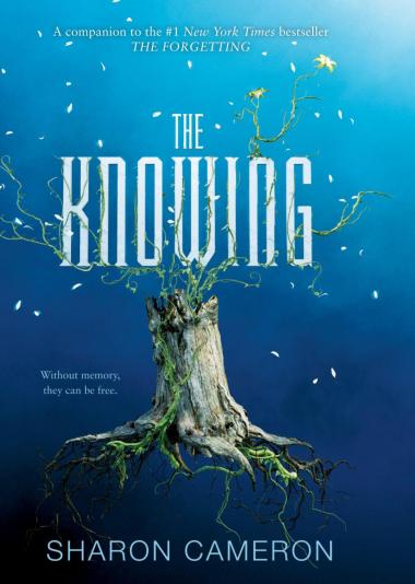 Photo of The Knowing