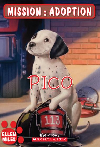 Photo of Mission : adoption : Pico