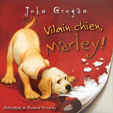 Photo of Vilain chien, Marley!