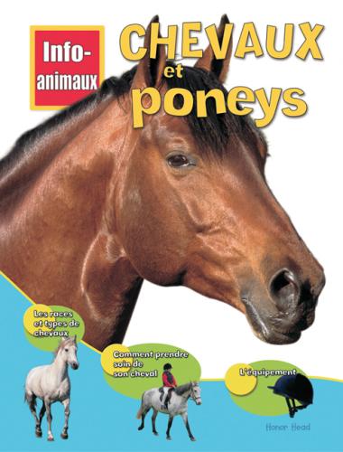 Photo of Info-animaux : Chevaux et poneys