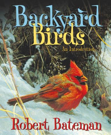 Photo of Backyard Birds