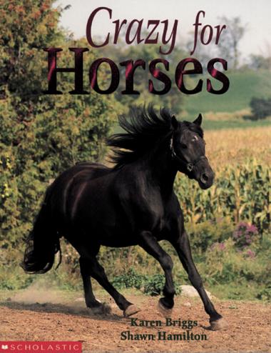 Photo of Crazy for Horses