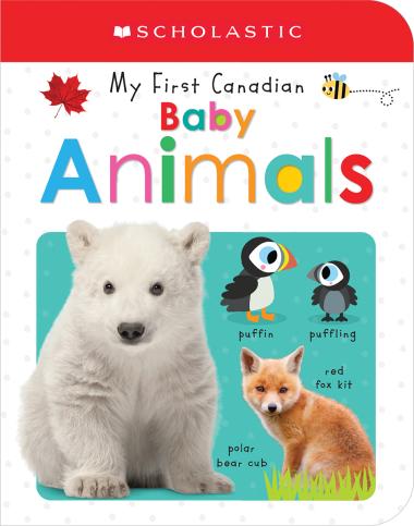 Photo of My First Canadian: Baby Animals