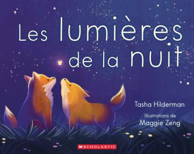 Photo of Les lumières de la nuit
