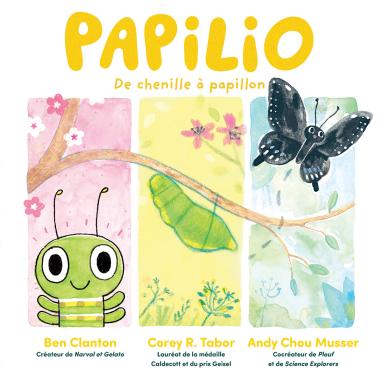 Photo of Papilio : De chenille à papillon