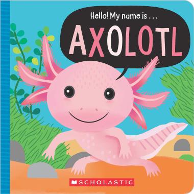 Photo of Hello! My Name is Axolotl