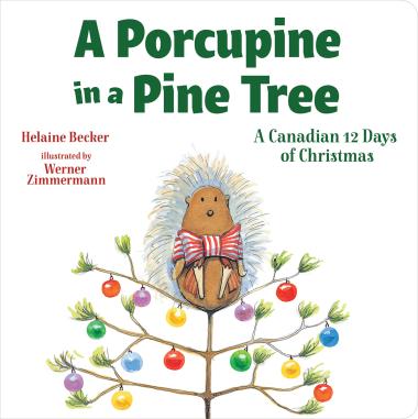 Photo of A Porcupine in a Pine Tree