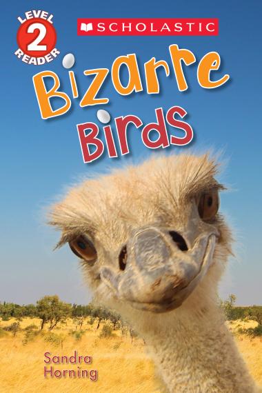 Photo of Bizarre Birds (Scholastic Reader, Level 2)