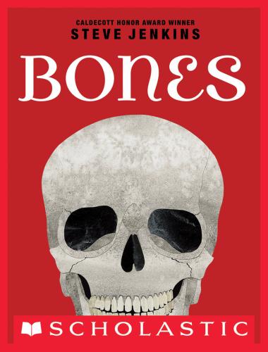 Cover of Bones: Skeletons and How They Work