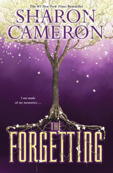 Photo of The Forgetting