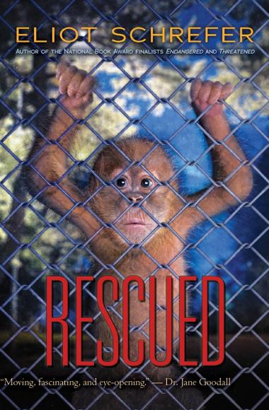 Photo of Rescued