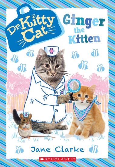 Photo of Ginger the Kitten (Dr. KittyCat #9)
