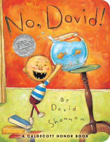 Photo of No, David!
