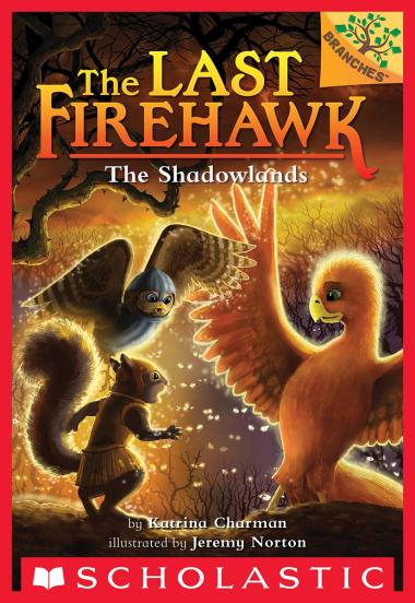 Photo of The Shadowlands: A Branches Book (The Last Firehawk #5)